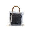 Transparent Straw Bag