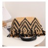 Fringe Straw Bag