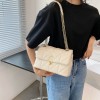 Double Chain Shoulder Bag